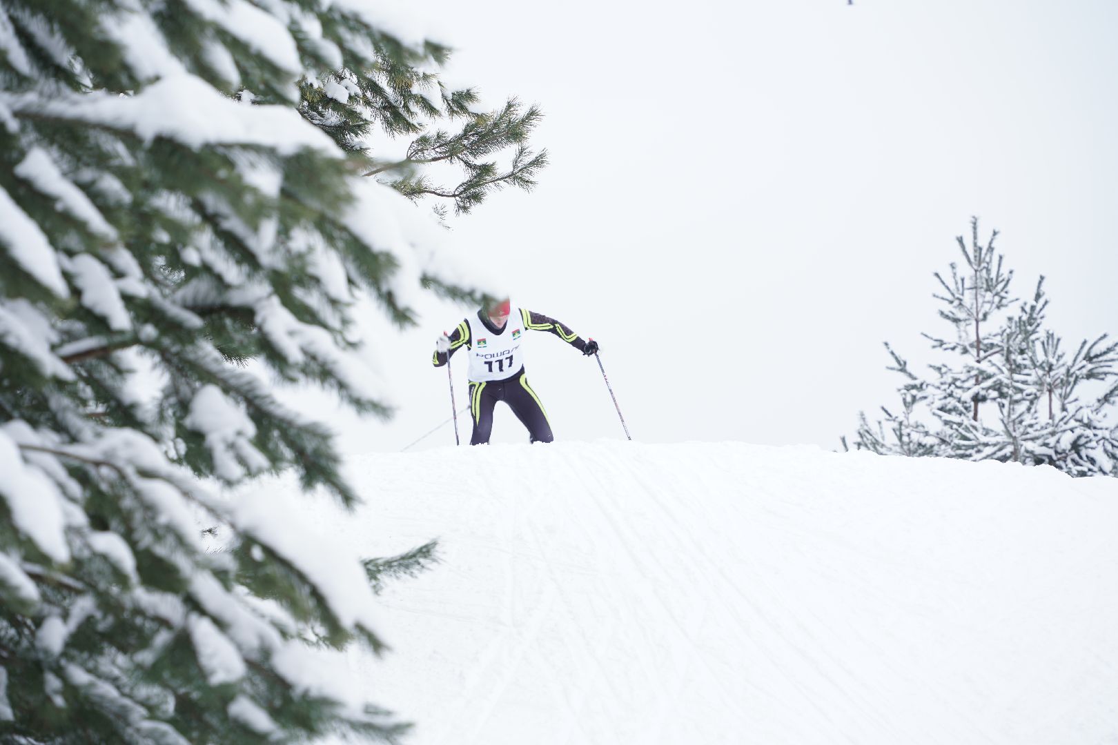 Рошальская лыжня, Спорт, Большая Шатура, Спортивная школа,