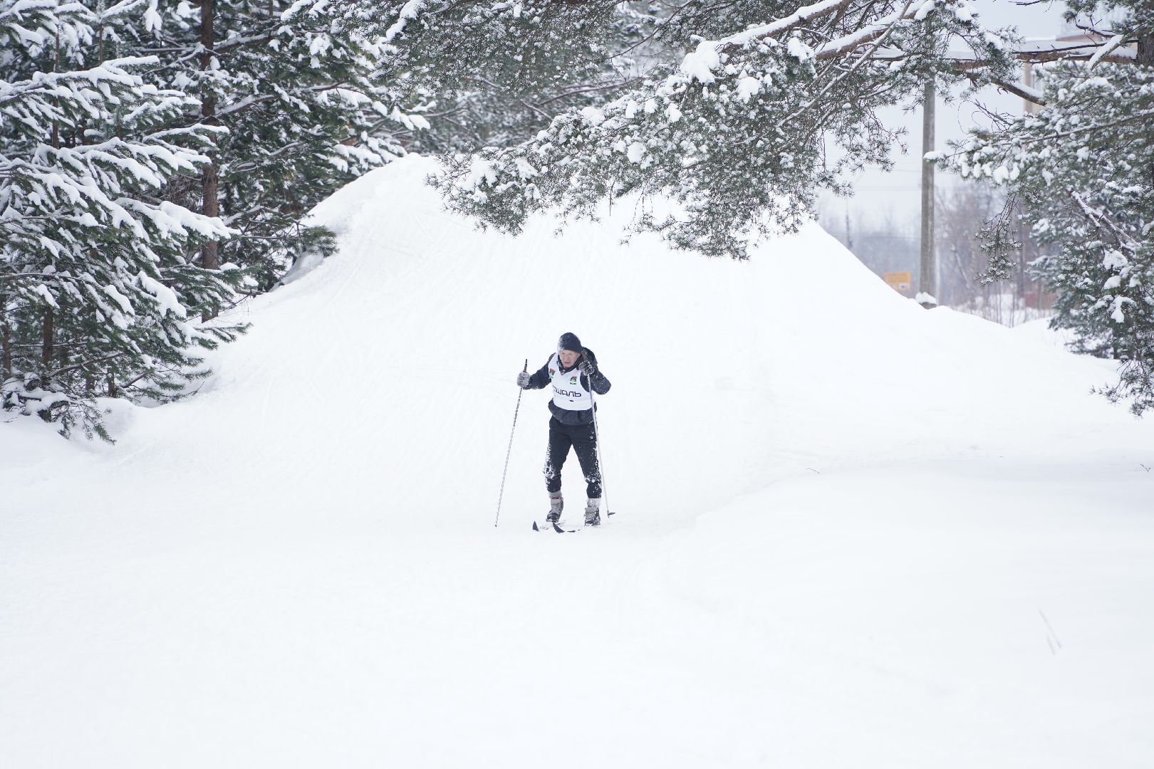 Рошальская лыжня, Спорт, Большая Шатура, Спортивная школа,