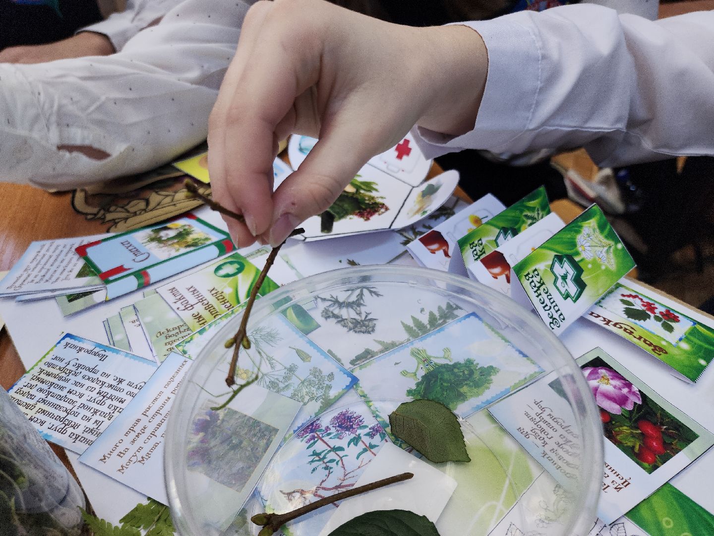 коломна, образование, гимназия 9, юннаты,