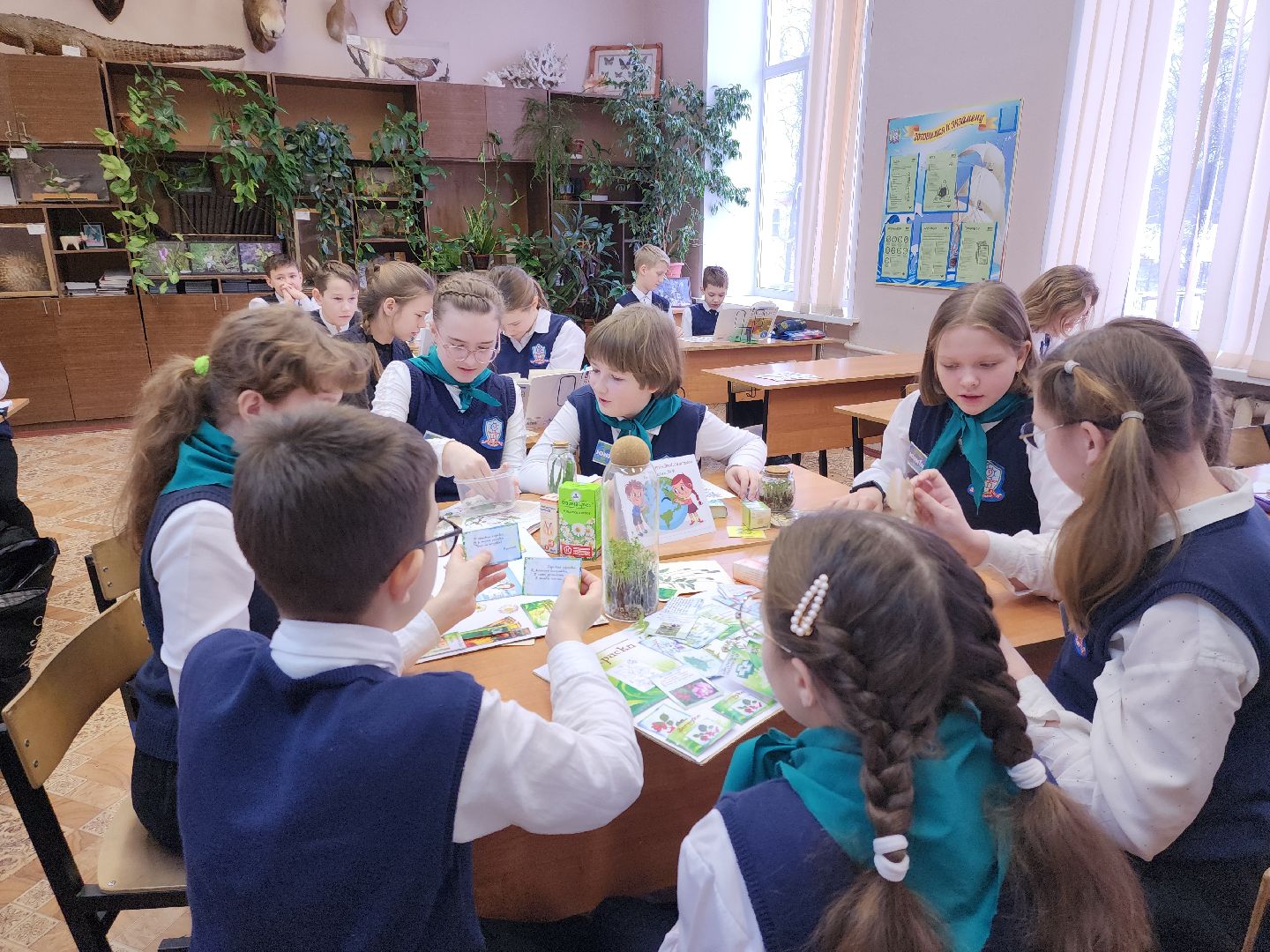 коломна, образование, гимназия 9, юннаты,