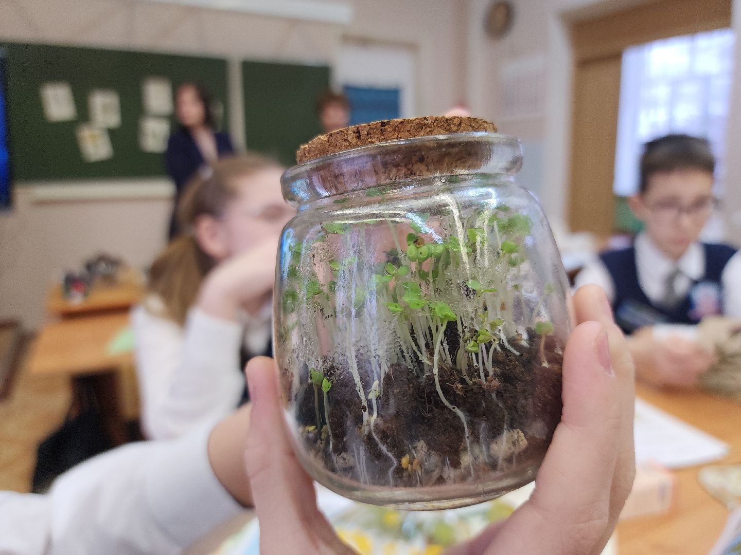 коломна, образование, гимназия 9, юннаты,