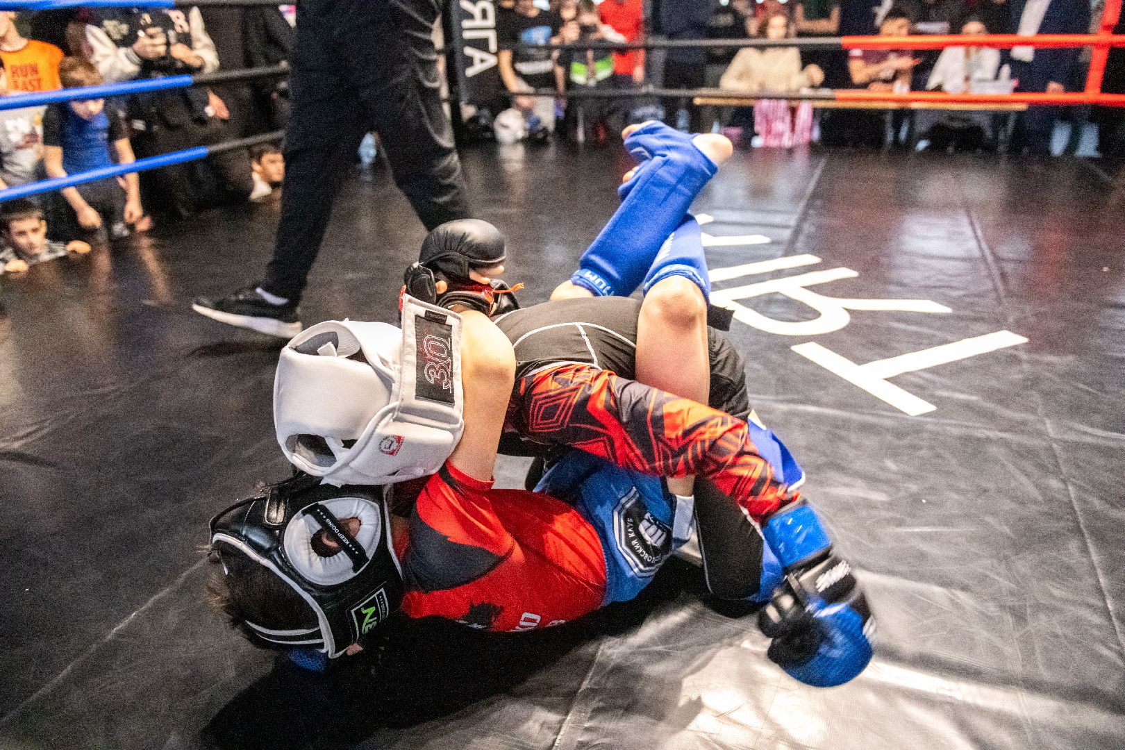 лыткарино, спорт, мма, бои, единоборства,