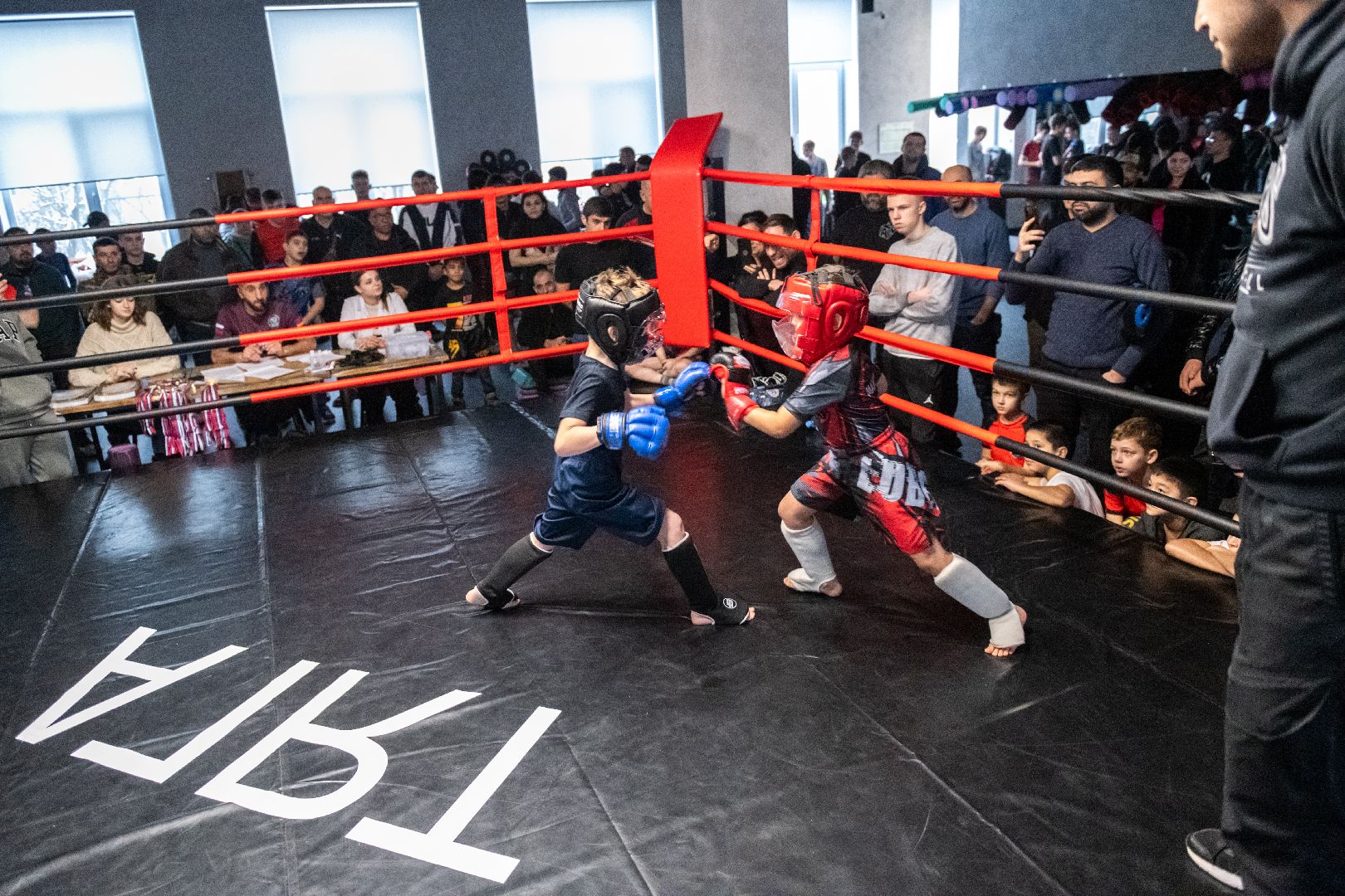 лыткарино, спорт, мма, бои, единоборства,