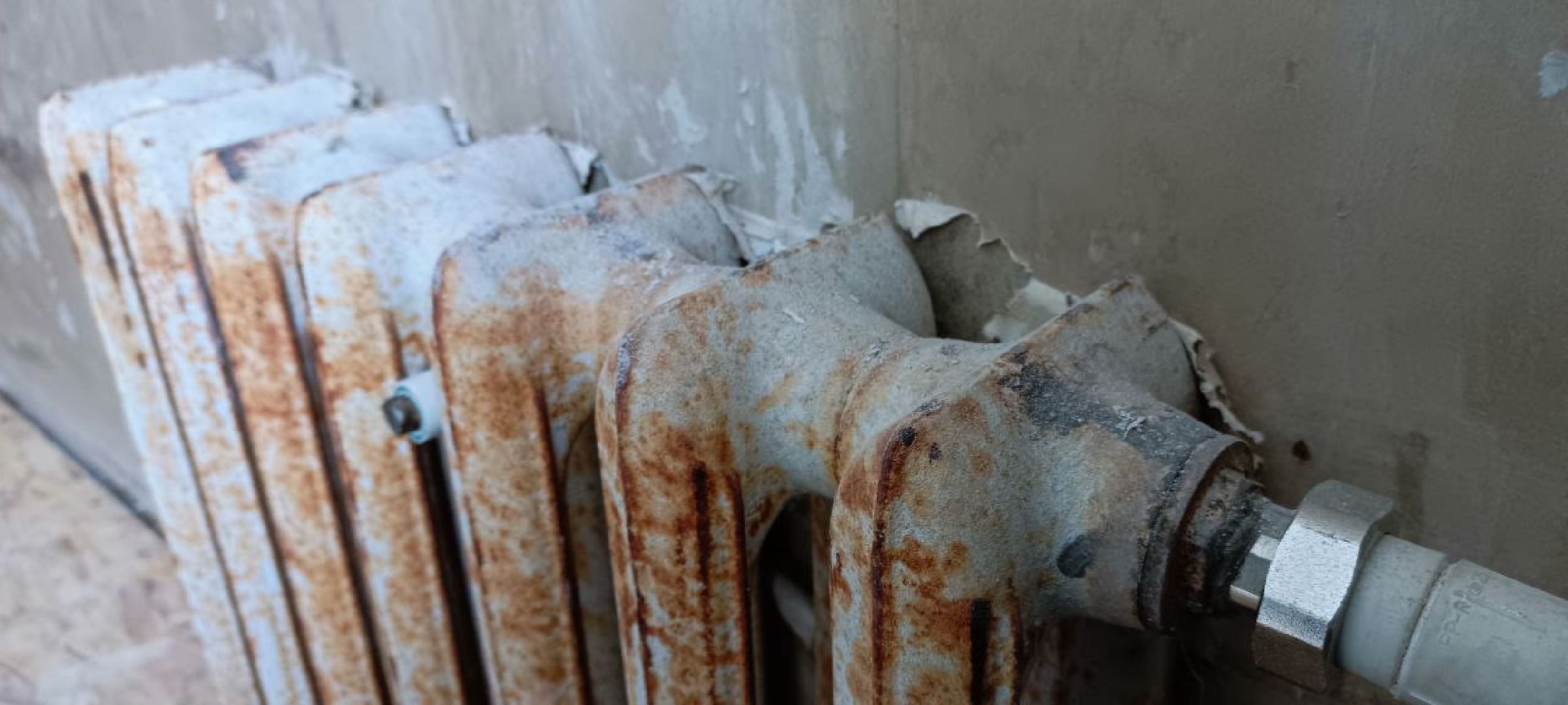 Дмитров, Яхрома, МосОблЕИРЦ,