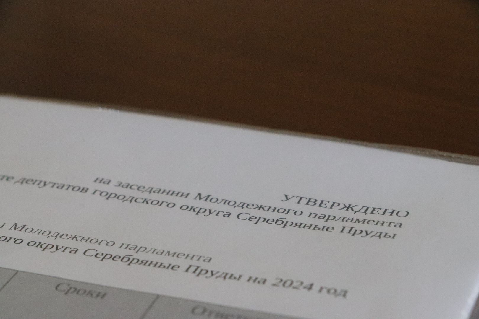 Серебряные Пруды, Молодежный парламент,