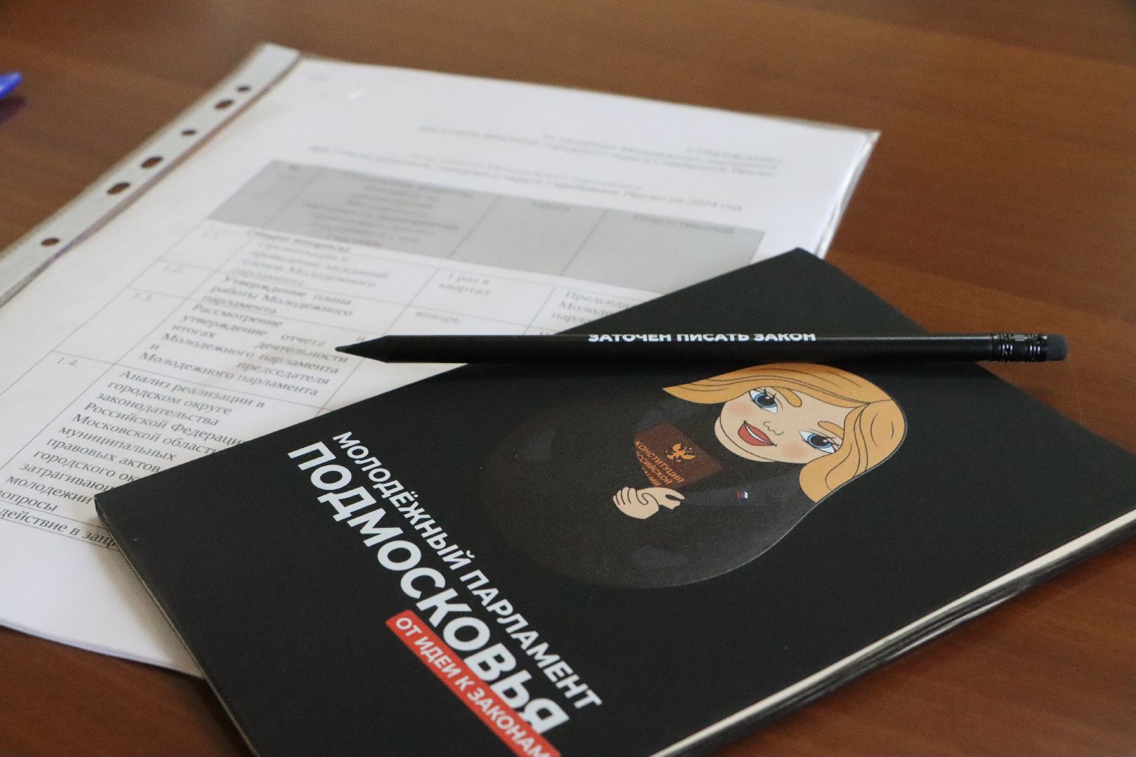 Серебряные Пруды, Молодежный парламент,