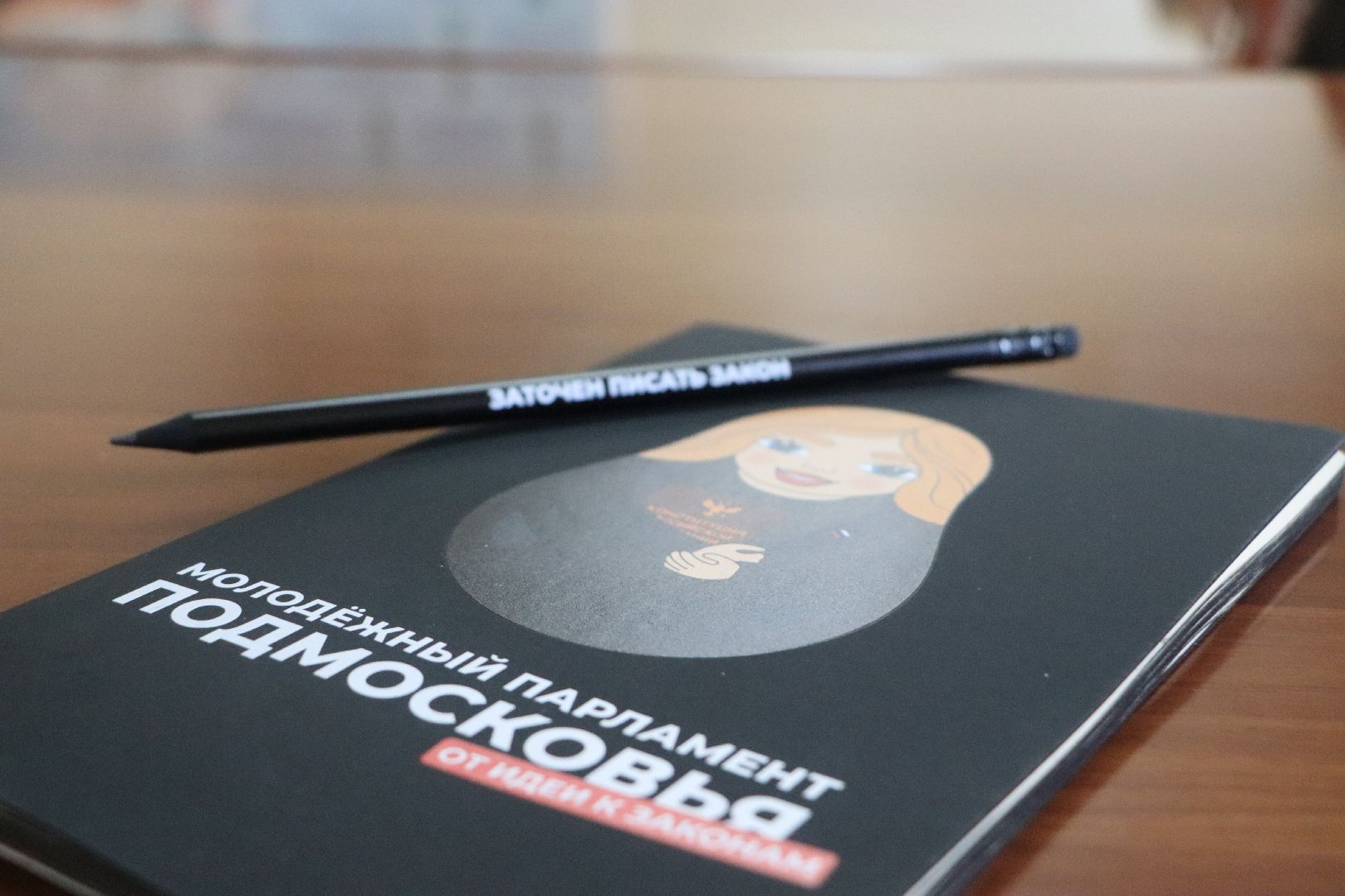 Серебряные Пруды, Молодежный парламент,