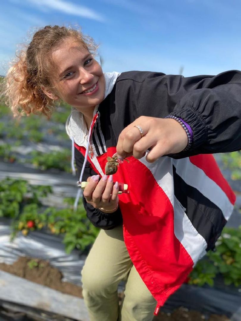 Коломна, сельское хозяйство, коломенский аграрный колледж,