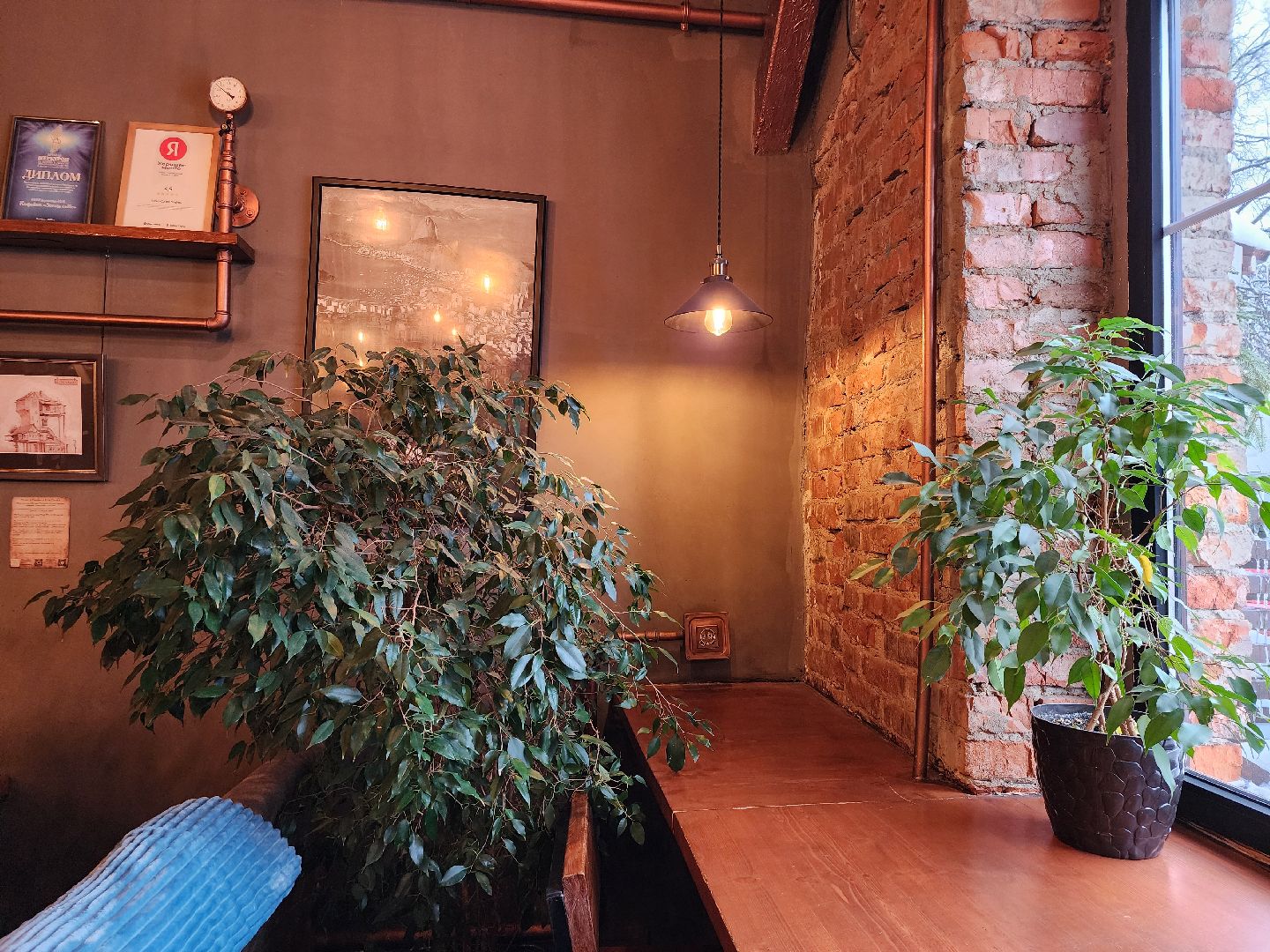 Ешь в Подмосковье, гастрономический проект, кафе, Ногинск, Богородский городской округ,