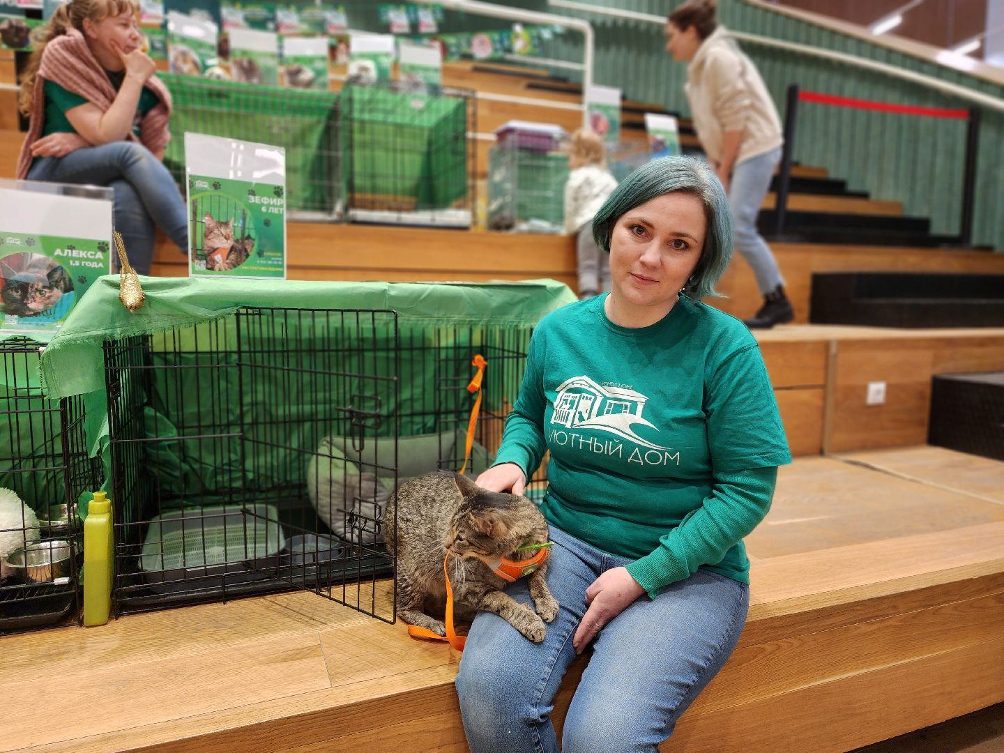 пушкино, бездомные животные, волонтерство, кошки, собаки,