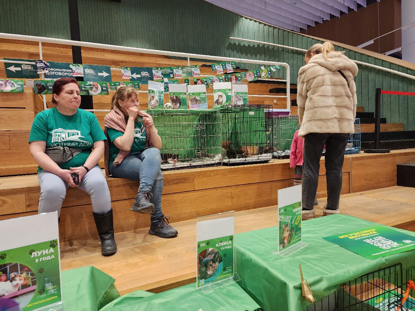 пушкино, бездомные животные, волонтерство, кошки, собаки,