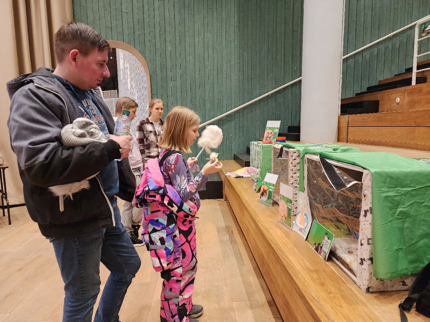 пушкино, бездомные животные, волонтерство, кошки, собаки,