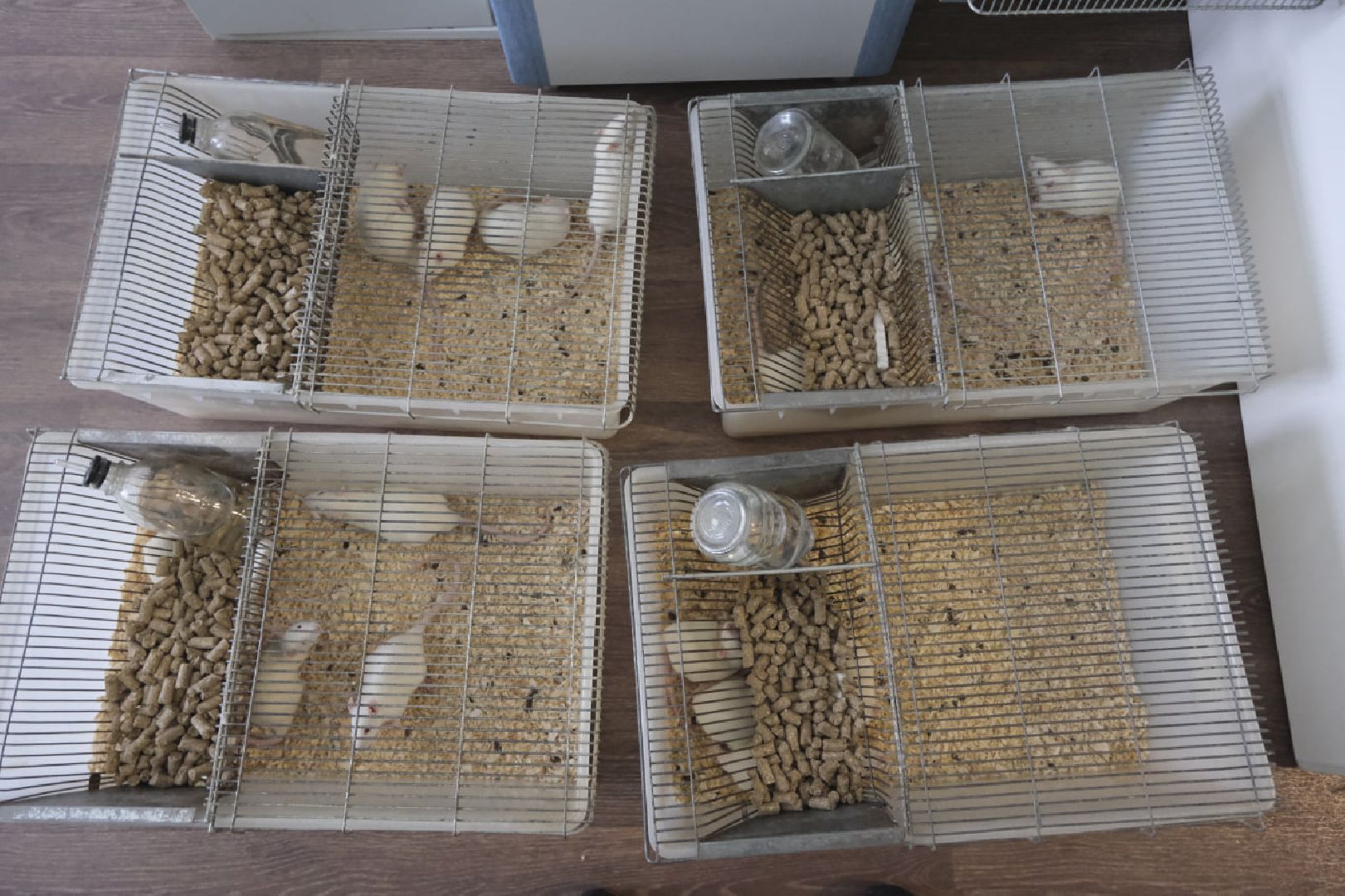 пущино, наука,