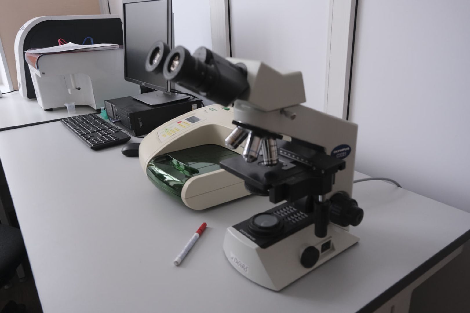 пущино, наука,