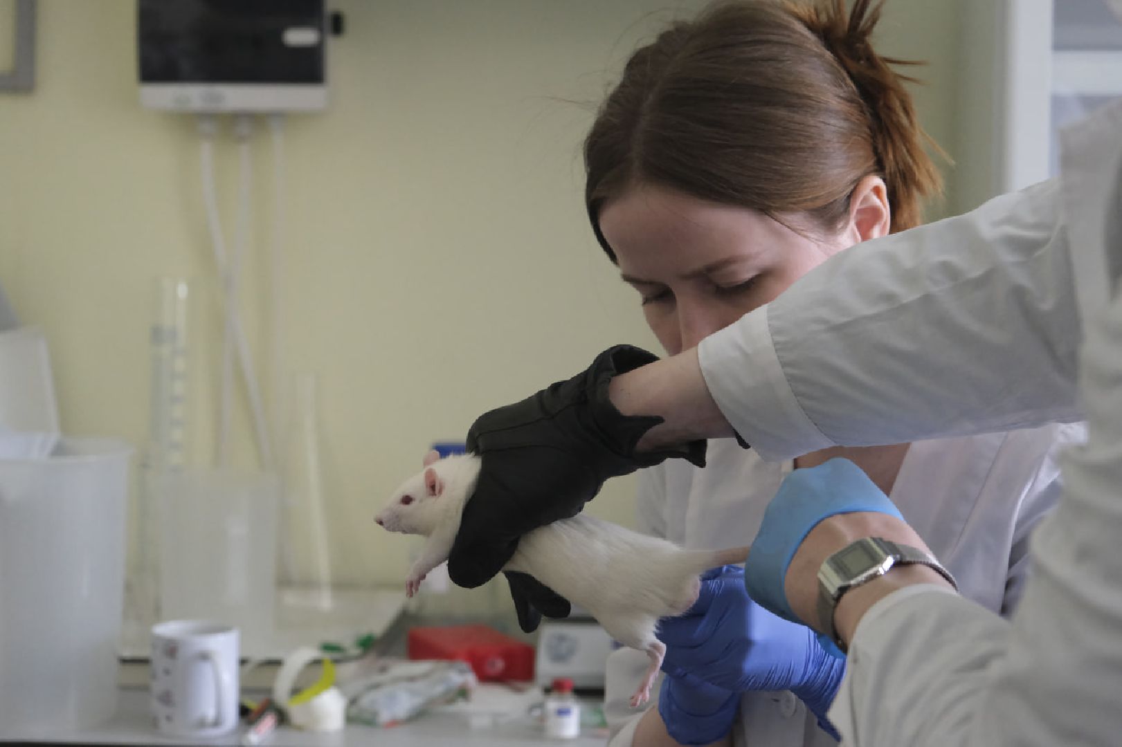 пущино, наука,