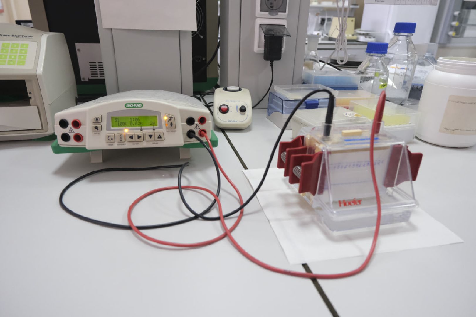 пущино, наука,