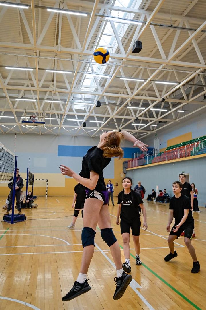 МГЕР, волонтеры культуры, волонтеры подмосковья, Домодедово, турнир, соревнования, волейбол, подмосковье, РГГУ, РосНОУ, колледж Московия, ЗОЖ,