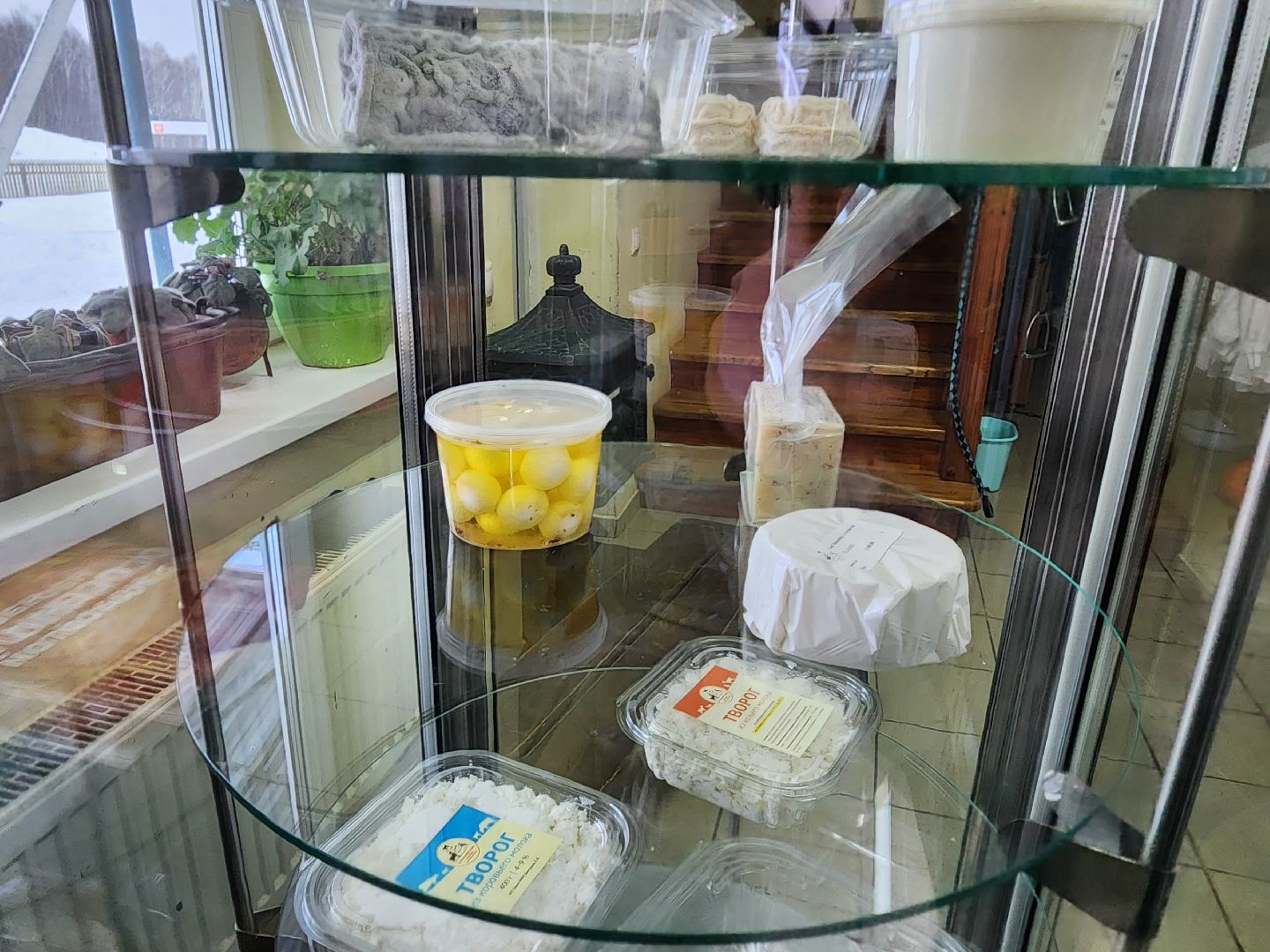 Чехов, Подмосковье, Дикие белки, агротуризм, молоко, козы, коровы,