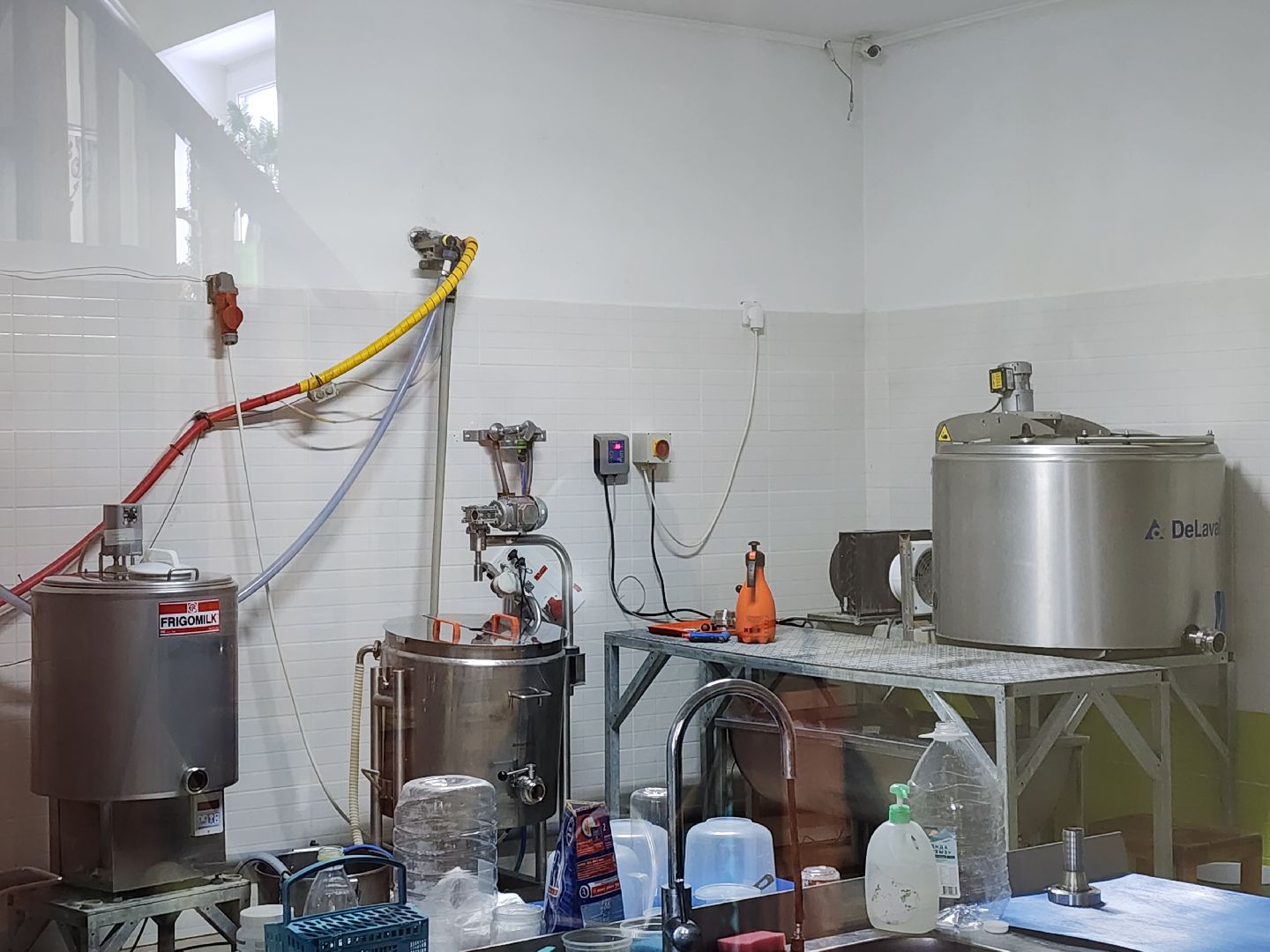 Чехов, Подмосковье, Дикие белки, агротуризм, молоко, козы, коровы,