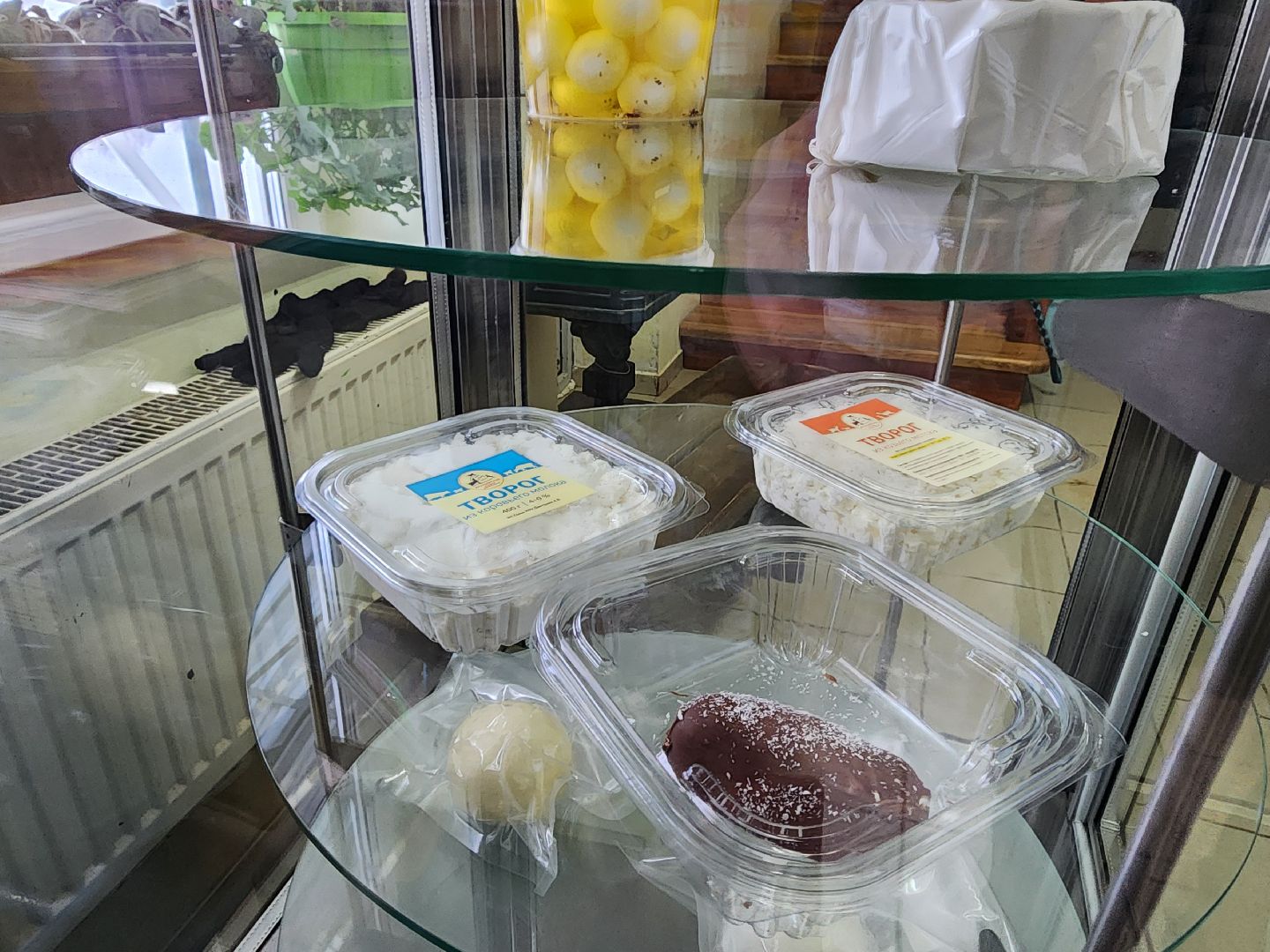 Чехов, Подмосковье, Дикие белки, агротуризм, молоко, козы, коровы,