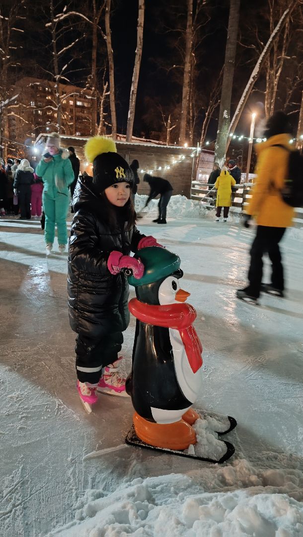 каток, лобня, парк, зима,