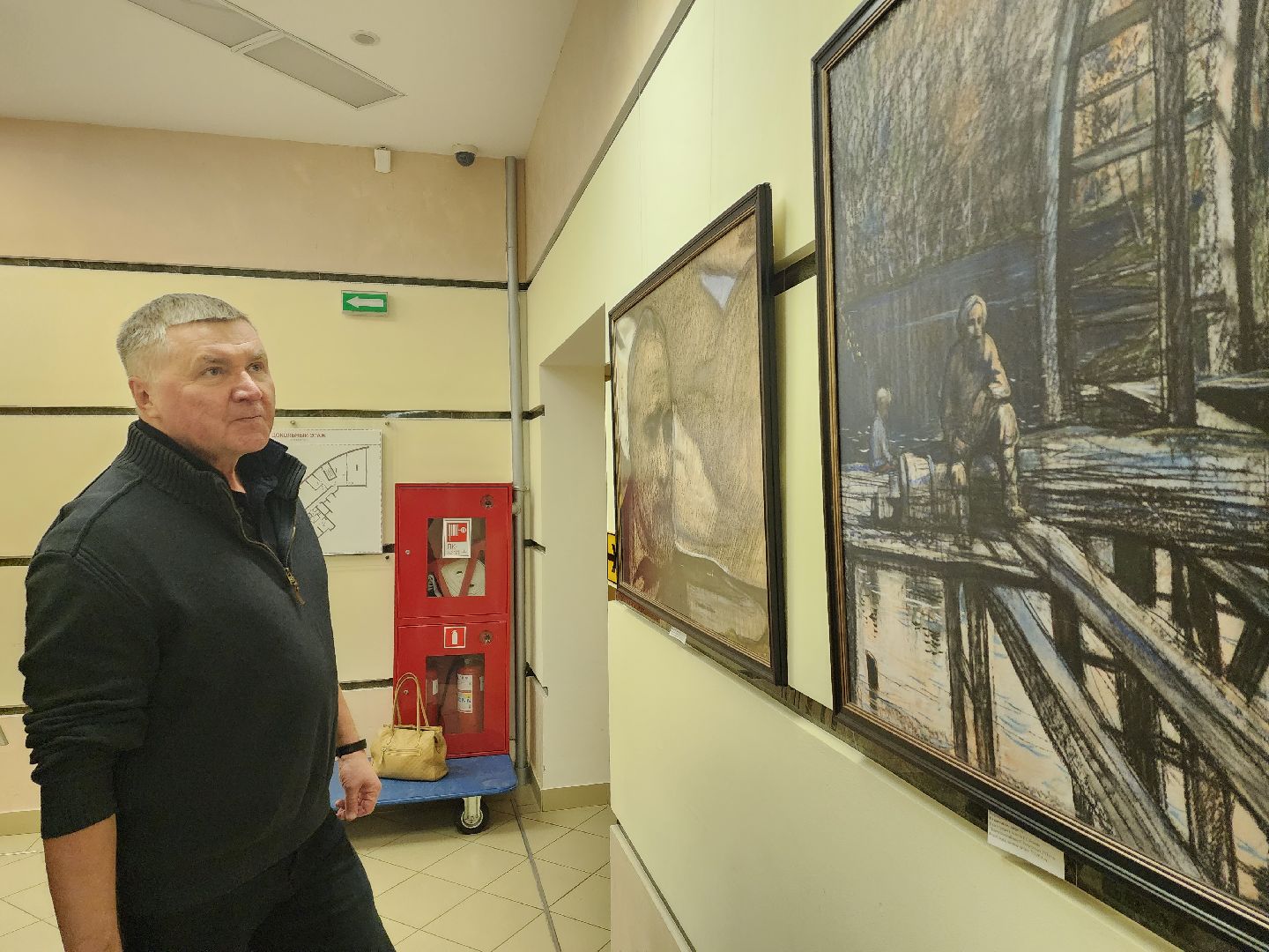 пушкино, картины, библиотека, классика, литература,