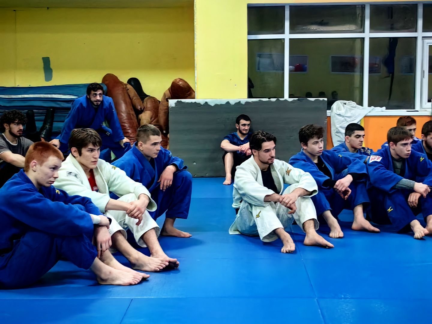 дзюдо, турнир, соревнования, Гран-при, олимпиада 2024,