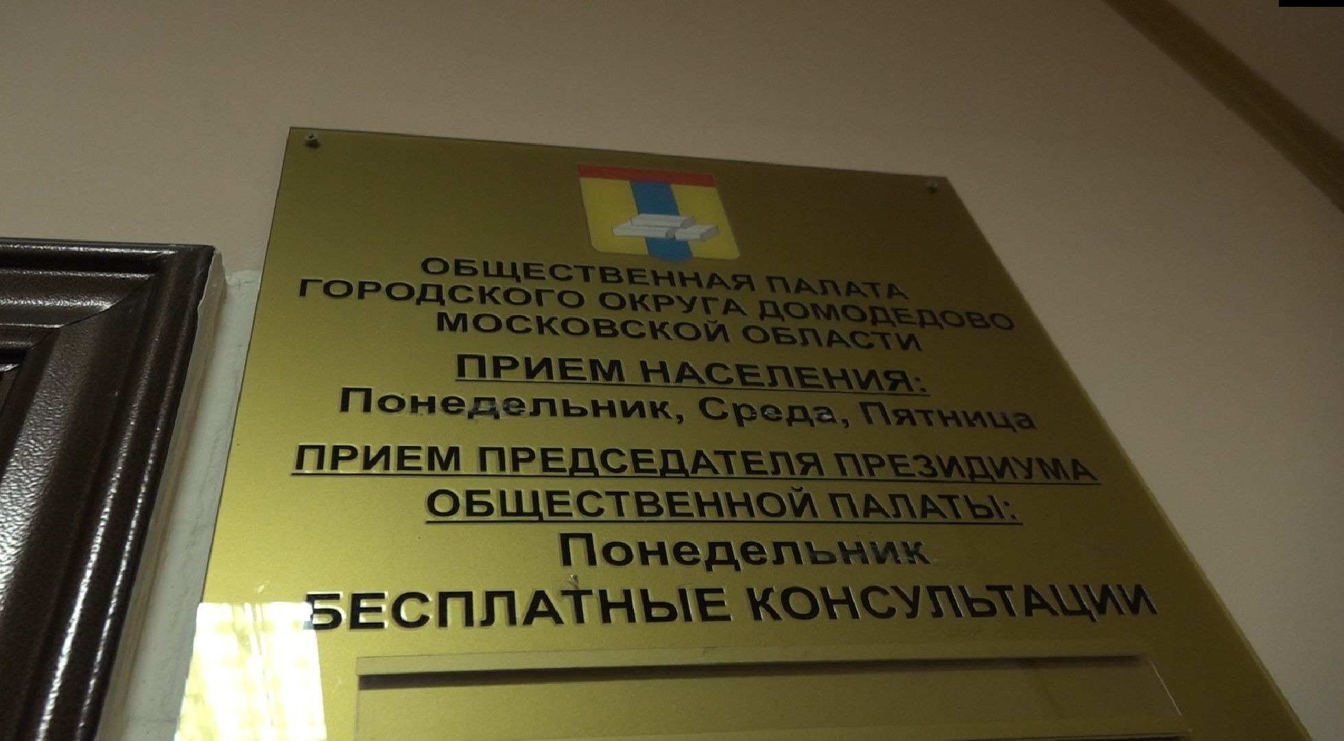 яркий новогодний бизнес, общественная палата, Домодедово,