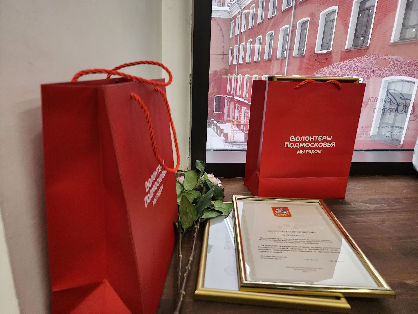 волонтерское движение, орехово зуево,