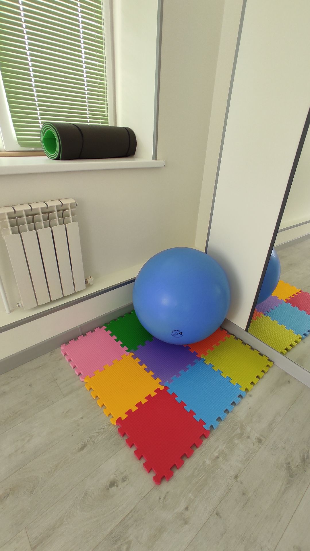 Лобня, экономика, медицина, предпринимательство