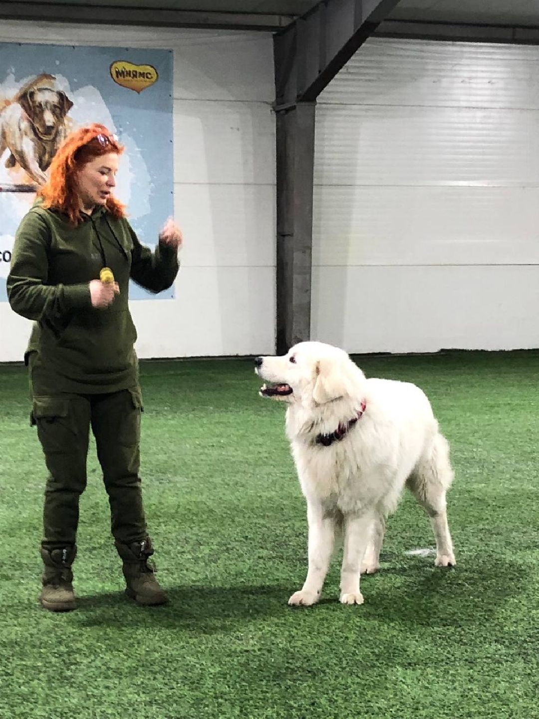 танцы с собаками, собаки, животные, Раменское