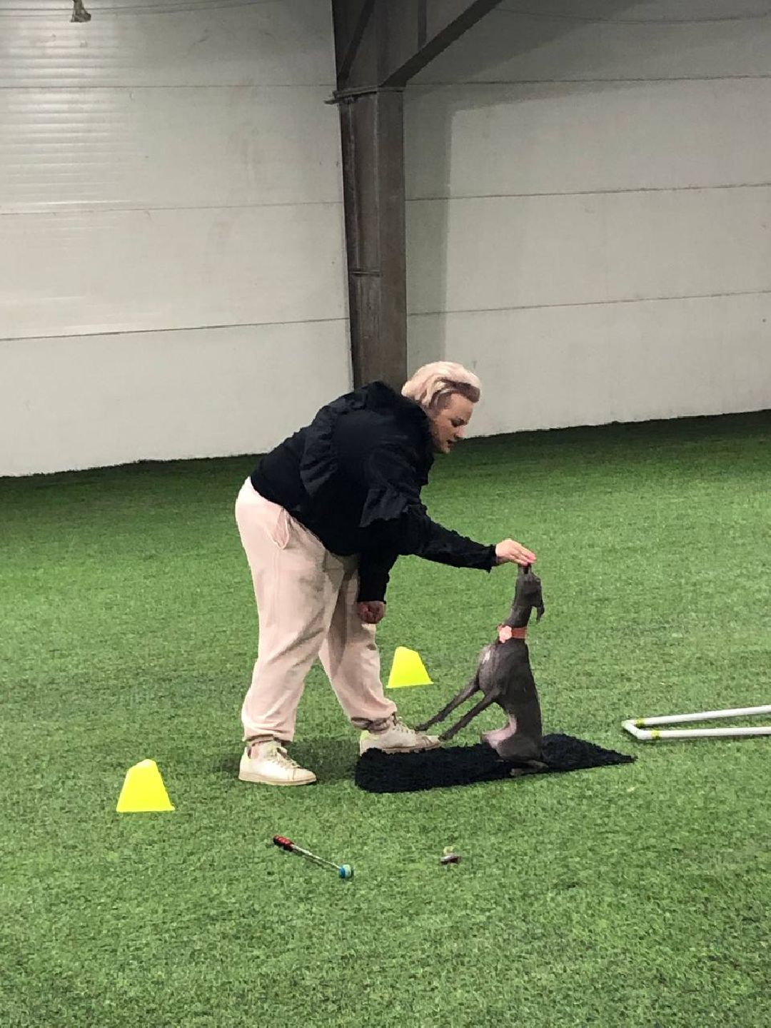 танцы с собаками, собаки, животные, Раменское