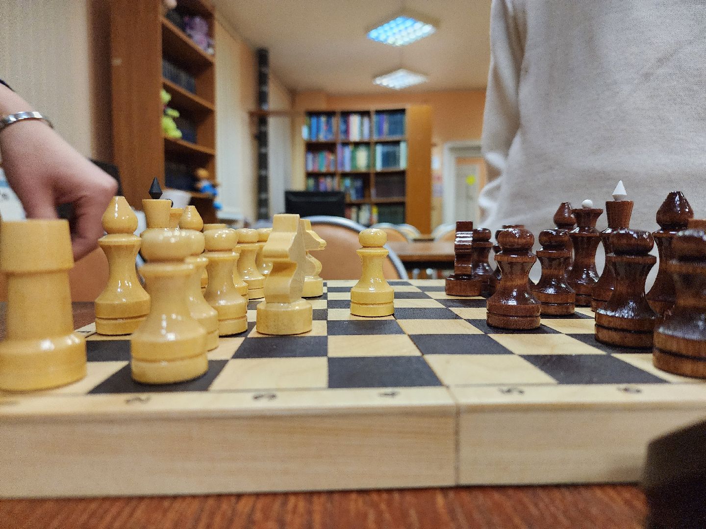 Павловский Посад, Городской округ Павловский Посад, Шахматы, Ход королевы, Люди, Дети, Образование,