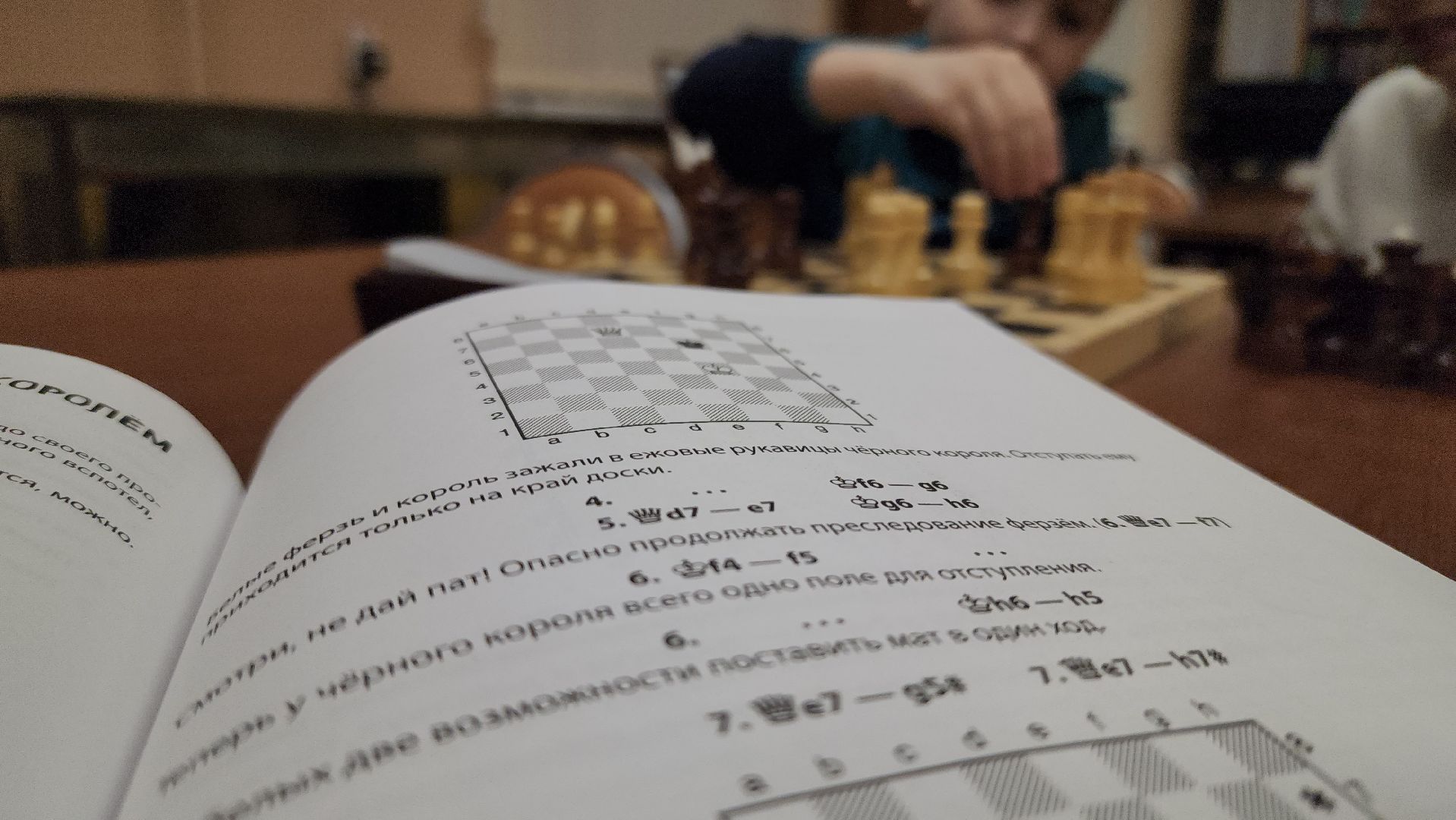 Павловский Посад, Городской округ Павловский Посад, Шахматы, Ход королевы, Люди, Дети, Образование,