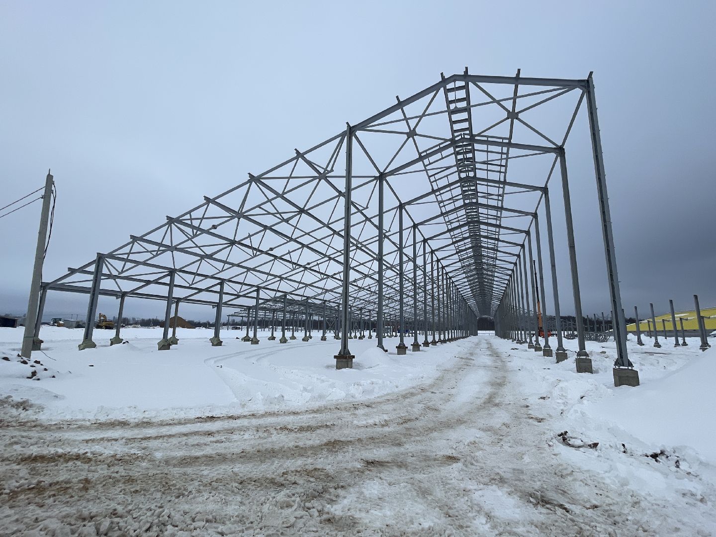 Волоколамск, сельское хозяйство, молочная продукция,