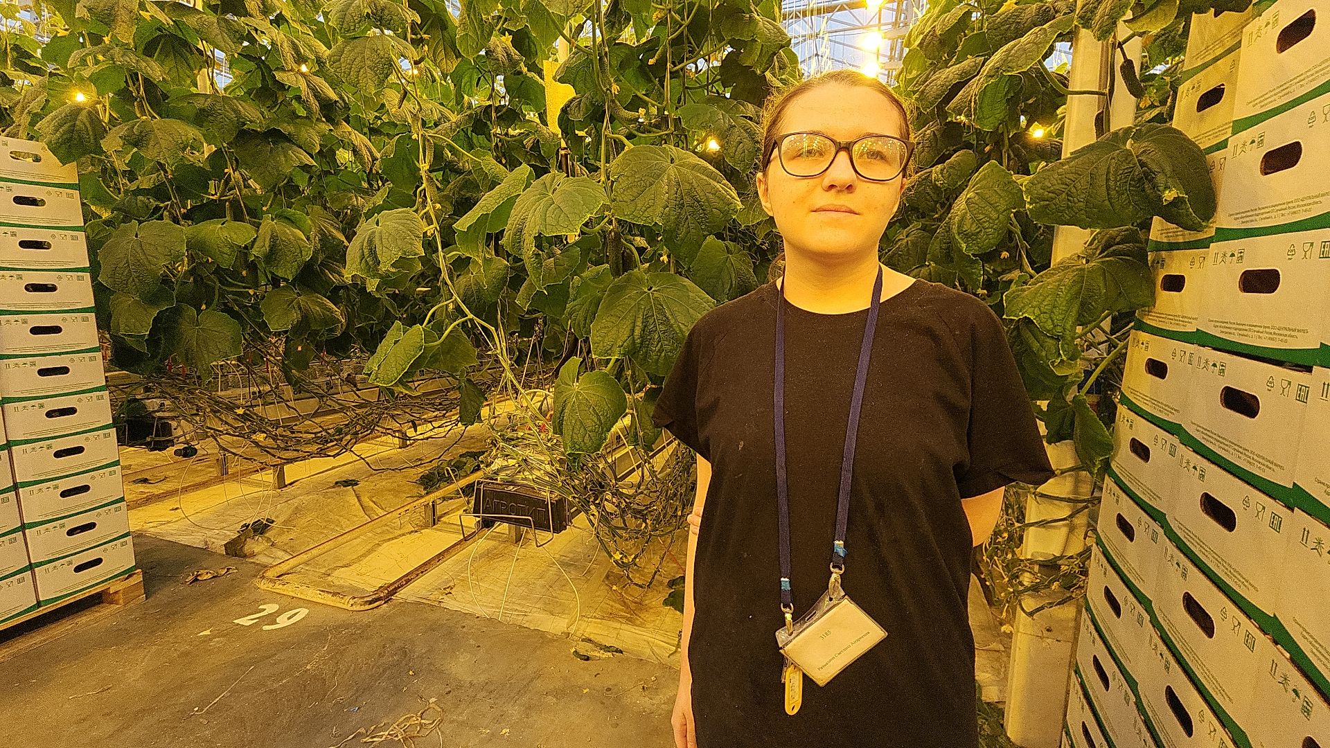 электросталь, теплицы, мой город, агрокомплекс, аграрии, агрокластер, агроном, овощи, агроподворье, производство, студенты, практика, колледж,