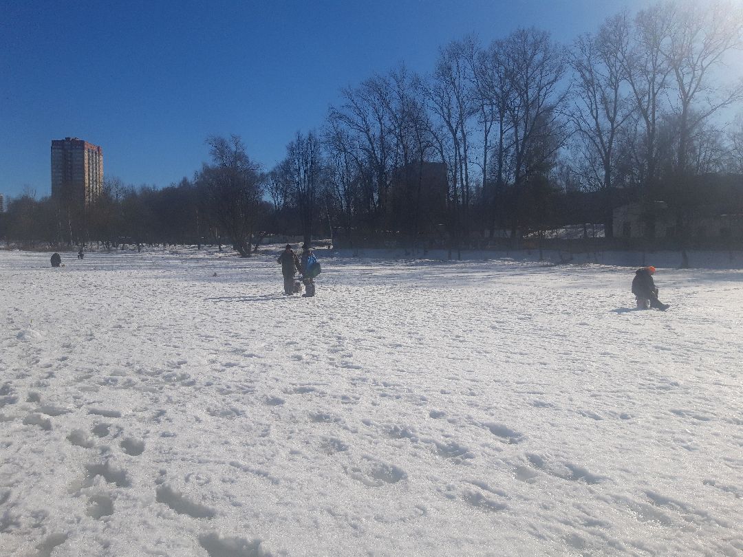 пенсионеры, выходные в подмосковье,