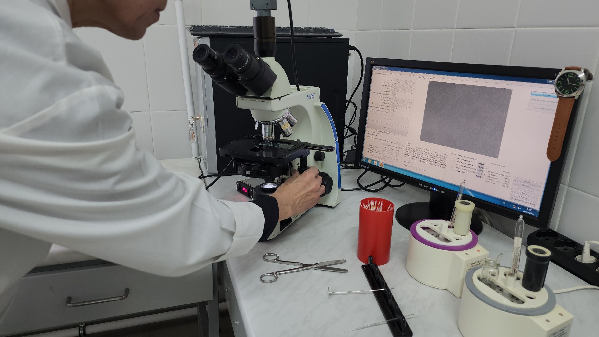 сельское хозяйство, племенные быки, предприятие, Ногинск, Богородский городской округ,