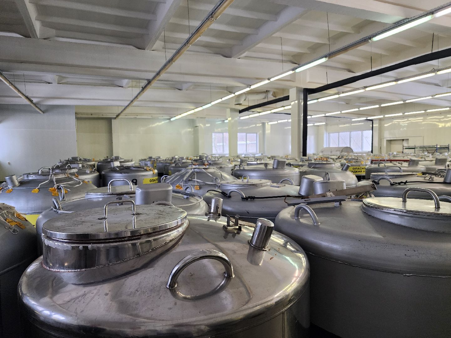 сельское хозяйство, племенные быки, предприятие, Ногинск, Богородский городской округ,