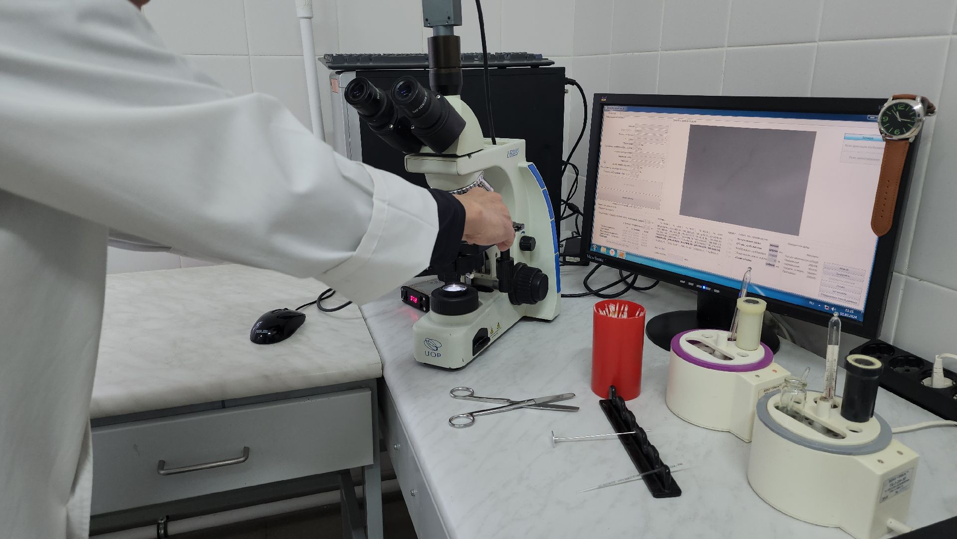 сельское хозяйство, племенные быки, предприятие, Ногинск, Богородский городской округ,