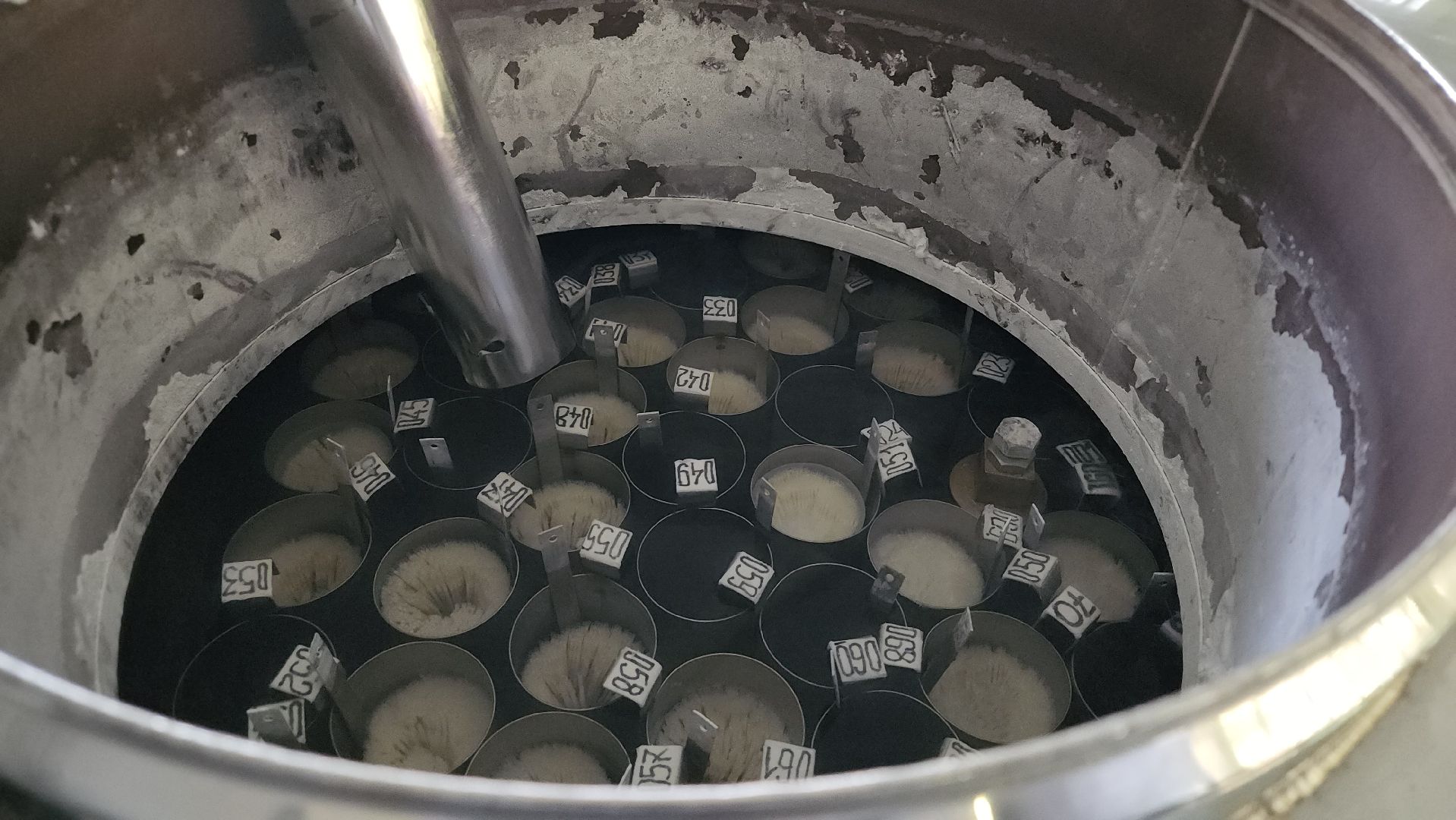 сельское хозяйство, племенные быки, предприятие, Ногинск, Богородский городской округ,