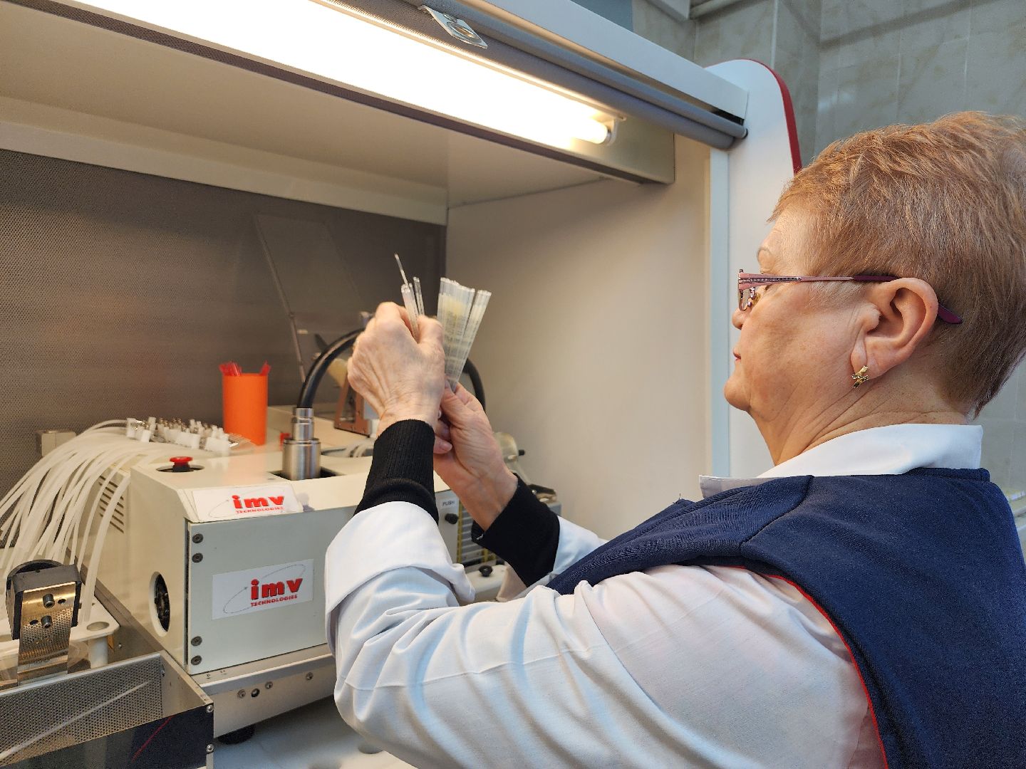 сельское хозяйство, племенные быки, предприятие, Ногинск, Богородский городской округ,