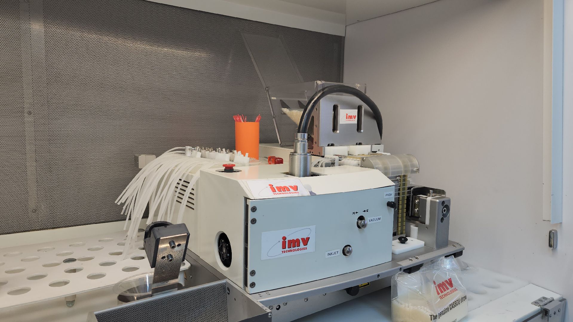 сельское хозяйство, племенные быки, предприятие, Ногинск, Богородский городской округ,