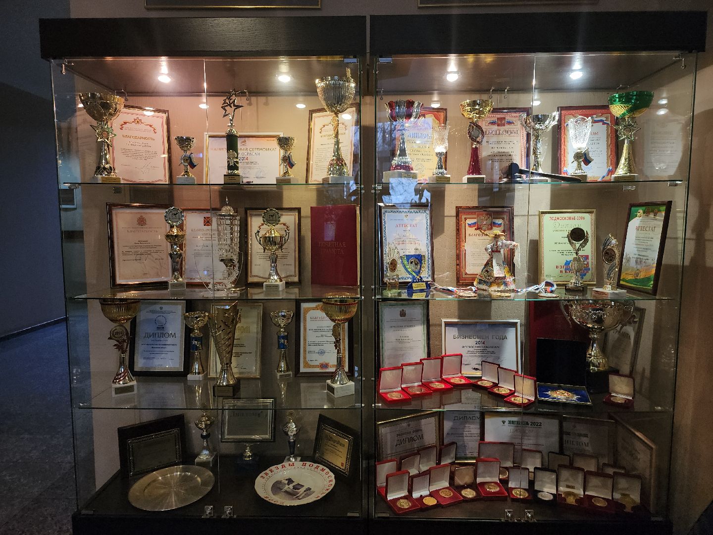 сельское хозяйство, племенные быки, предприятие, Ногинск, Богородский городской округ,