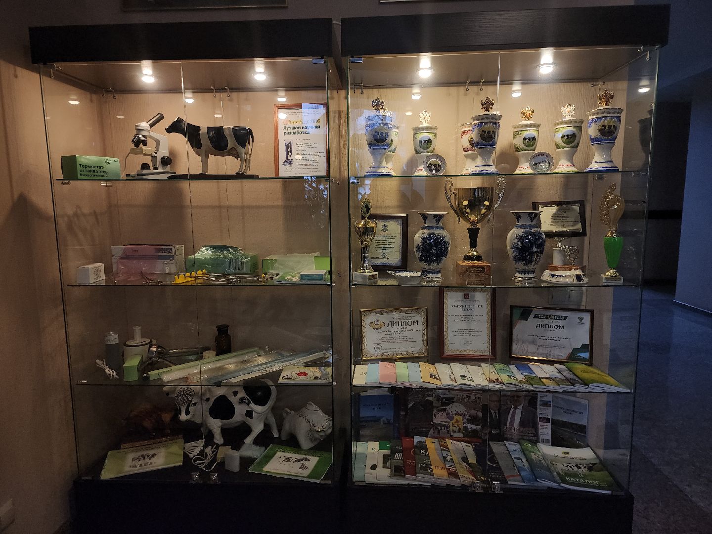 сельское хозяйство, племенные быки, предприятие, Ногинск, Богородский городской округ,