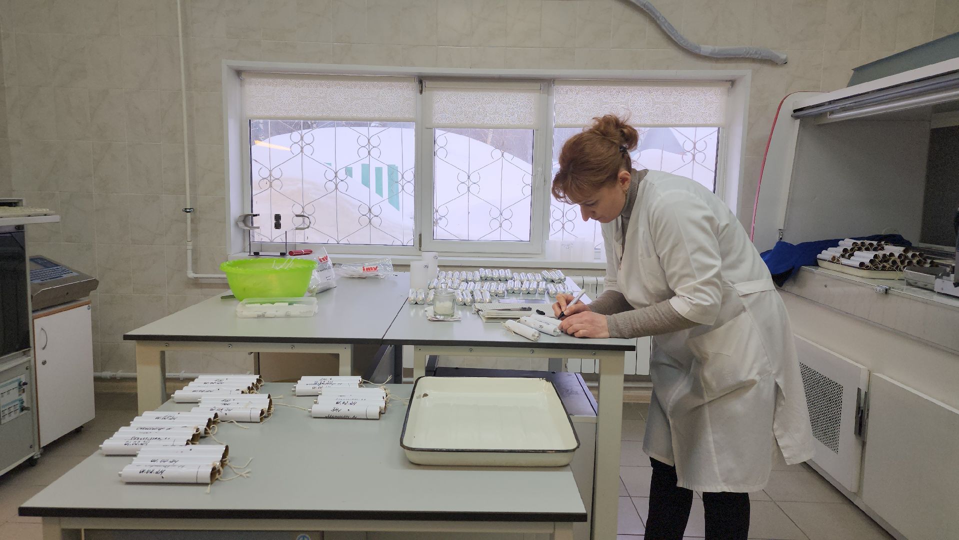 сельское хозяйство, племенные быки, предприятие, Ногинск, Богородский городской округ,