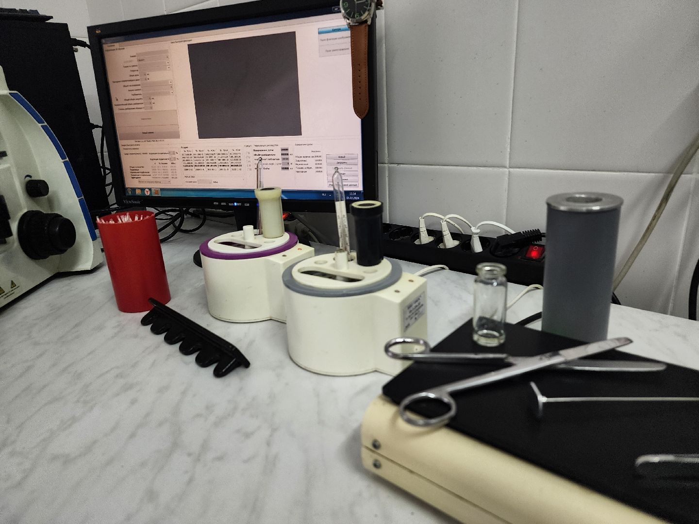 сельское хозяйство, племенные быки, предприятие, Ногинск, Богородский городской округ,