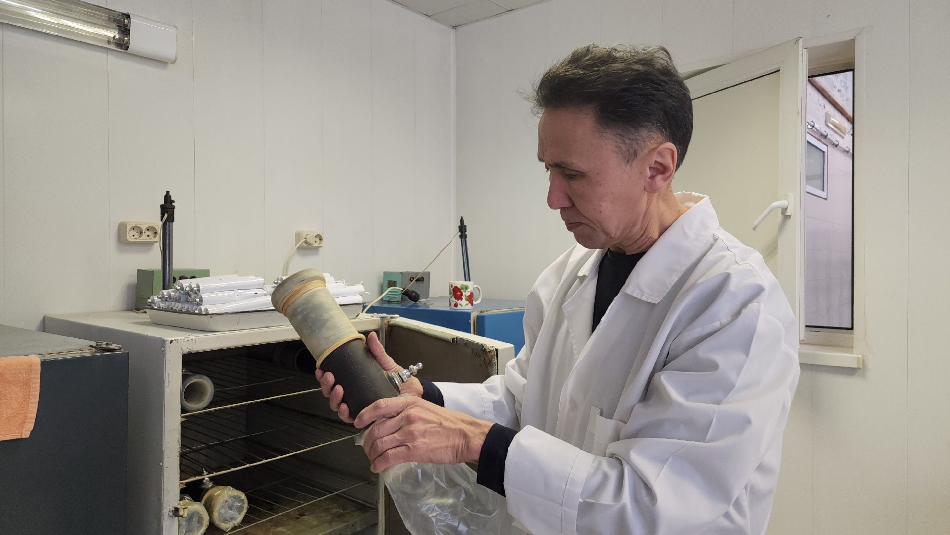 сельское хозяйство, племенные быки, предприятие, Ногинск, Богородский городской округ,