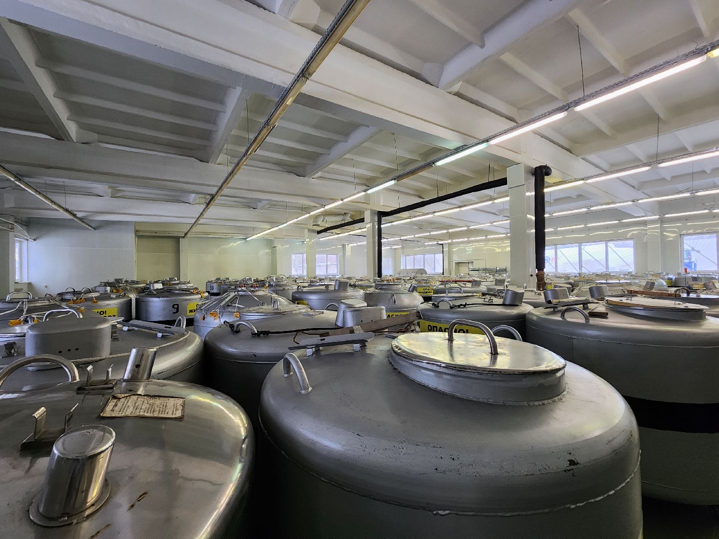 сельское хозяйство, племенные быки, предприятие, Ногинск, Богородский городской округ,