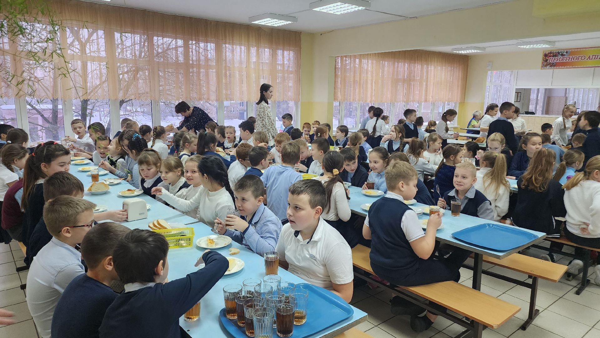 Новое меню, Питание, Школа, Егорьевск, Подмосковье, Московская область,